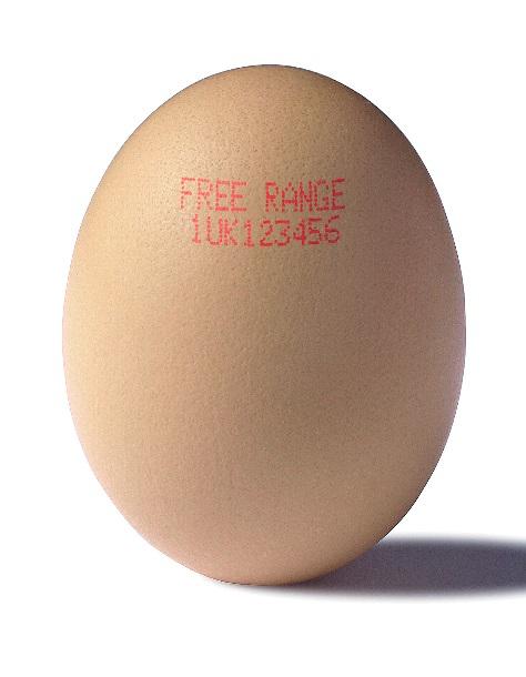 华驰喷码机为您解答，鸡蛋上的油墨喷码标记对健康有影响吗？
